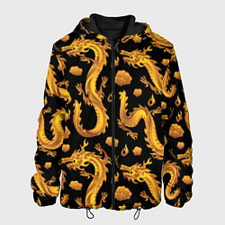 Куртка с капюшоном мужская Golden dragons, цвет: 3D-черный