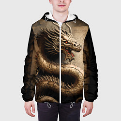 Куртка с капюшоном мужская Китайский дракон с открытой пастью, цвет: 3D-белый — фото 2