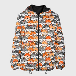 Мужская куртка Dog pattern