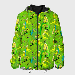Мужская куртка Зеленые волнистые попугайчики
