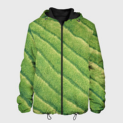 Куртка с капюшоном мужская Травяной паттерн, цвет: 3D-черный