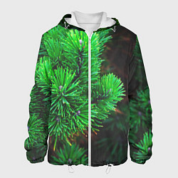 Куртка с капюшоном мужская Зелёный лес России, цвет: 3D-белый