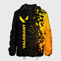 Куртка с капюшоном мужская Valorant - gold gradient: по-вертикали, цвет: 3D-черный