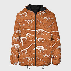 Куртка с капюшоном мужская Скелеты динозавров, цвет: 3D-черный