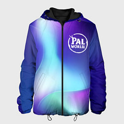 Куртка с капюшоном мужская Palworld northern cold, цвет: 3D-черный