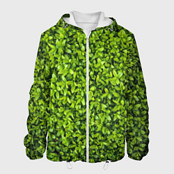 Куртка с капюшоном мужская Зелёная трава листья, цвет: 3D-белый