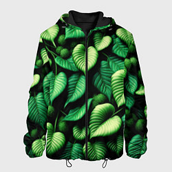 Мужская куртка Зеленые листья и мох
