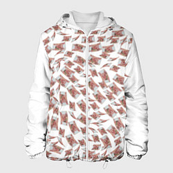 Куртка с капюшоном мужская Деньги рубли, цвет: 3D-белый