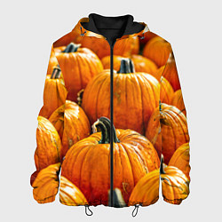Куртка с капюшоном мужская Много тыкв, цвет: 3D-черный