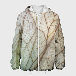 Мужская куртка Прожилки листика