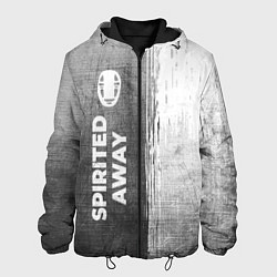 Куртка с капюшоном мужская Spirited Away - grey gradient по-вертикали, цвет: 3D-черный