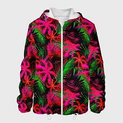 Мужская куртка Palm red pink