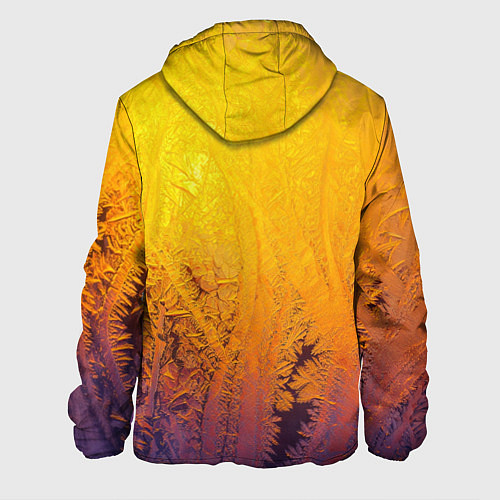 Мужская куртка Узоры золотистого инея / 3D-Белый – фото 2