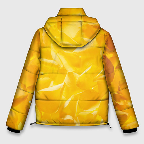 Мужская зимняя куртка Pikachu / 3D-Красный – фото 2