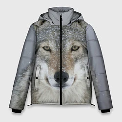 Куртка зимняя мужская Милый волк, цвет: 3D-красный