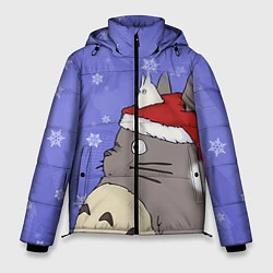 Куртка зимняя мужская Тоторо и снег, цвет: 3D-черный