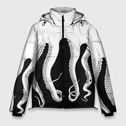 Мужская зимняя куртка Octopus