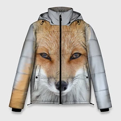 Куртка зимняя мужская Зимняя лиса, цвет: 3D-черный