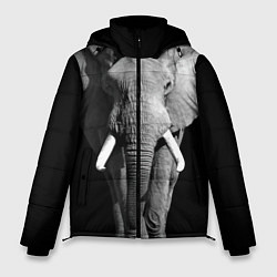 Куртка зимняя мужская Старый слон, цвет: 3D-красный