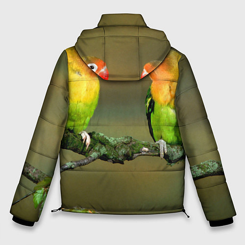 Мужская зимняя куртка Два попугая / 3D-Черный – фото 2