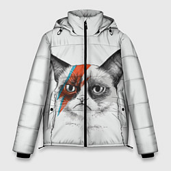 Куртка зимняя мужская David Bowie: Grumpy cat, цвет: 3D-красный