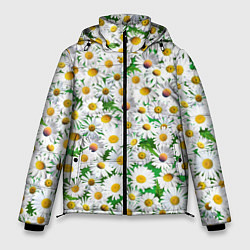 Куртка зимняя мужская Полевые ромашки, цвет: 3D-черный