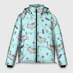 Куртка зимняя мужская Кавайные котики, цвет: 3D-черный