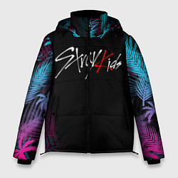 Куртка зимняя мужская STRAY KIDS, цвет: 3D-черный