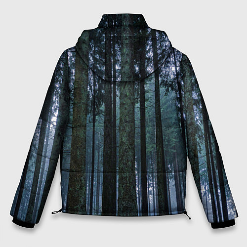 Мужская зимняя куртка THE FOREST / 3D-Черный – фото 2