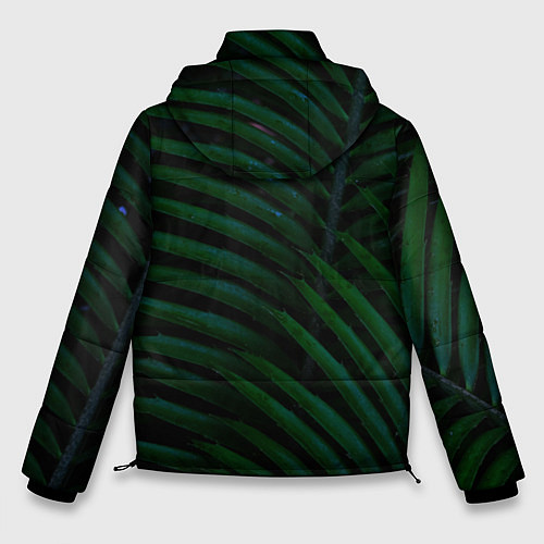 Мужская зимняя куртка Пальмовые листья / 3D-Черный – фото 2