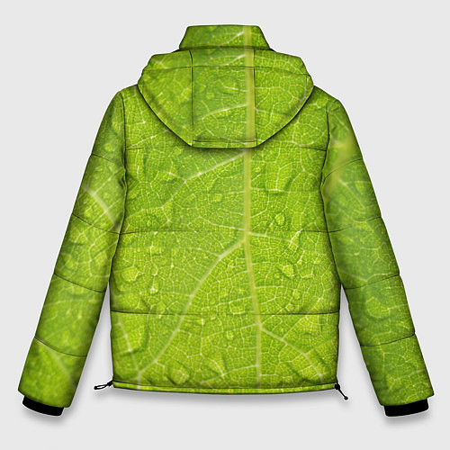 Мужская зимняя куртка Листок с росой / 3D-Черный – фото 2