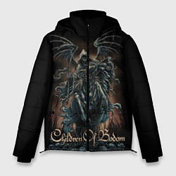 Куртка зимняя мужская Children of Bodom 17, цвет: 3D-светло-серый
