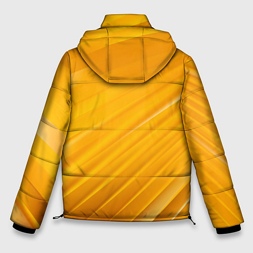 Мужская зимняя куртка LAMBORGHINI / 3D-Черный – фото 2