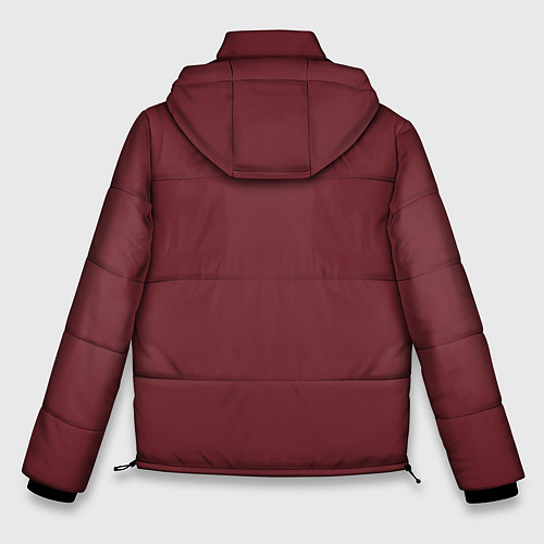 Мужская зимняя куртка Genshin Impact / 3D-Красный – фото 2