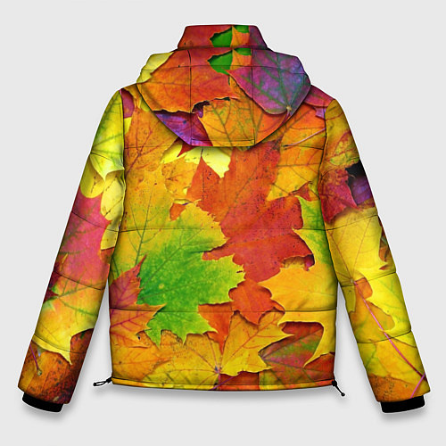 Мужская зимняя куртка Осенние листья / 3D-Светло-серый – фото 2