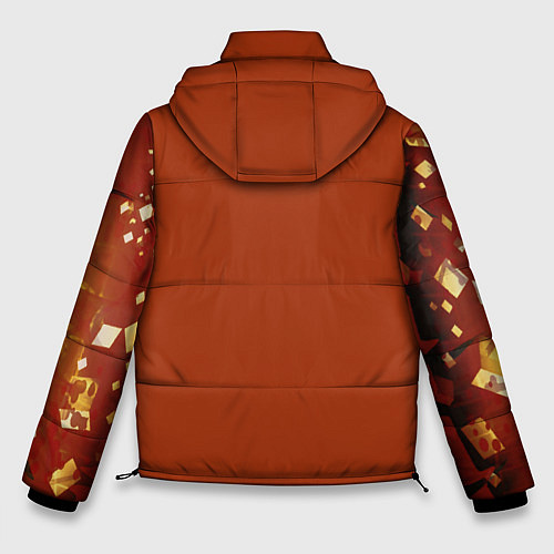 Мужская зимняя куртка Лев / 3D-Черный – фото 2