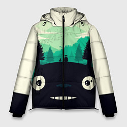Куртка зимняя мужская ТОТОРО, цвет: 3D-светло-серый
