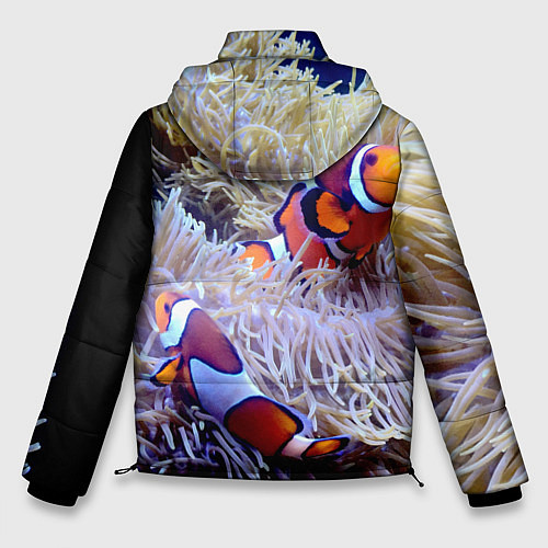 Мужская зимняя куртка Клоуны в актинии / 3D-Черный – фото 2
