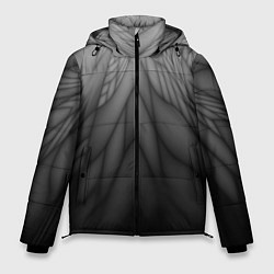 Куртка зимняя мужская Коллекция Rays Лучи Черный Абстракция 661-11-w1, цвет: 3D-черный