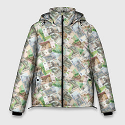 Куртка зимняя мужская Деньги РФ Рубли, цвет: 3D-светло-серый