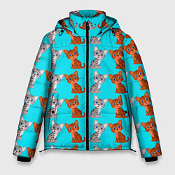 Куртка зимняя мужская CURIOUS KITTENS, цвет: 3D-светло-серый
