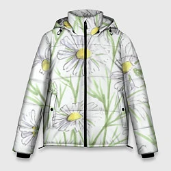 Куртка зимняя мужская Скетч Ромашки, цвет: 3D-светло-серый