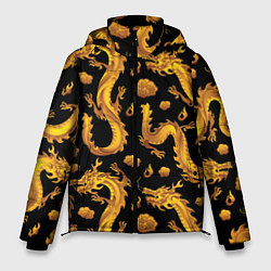 Куртка зимняя мужская Golden dragons, цвет: 3D-черный