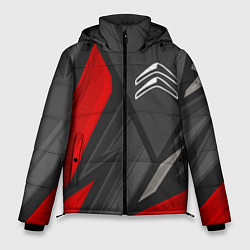 Куртка зимняя мужская Citroen sports racing, цвет: 3D-черный