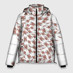 Куртка зимняя мужская Деньги рубли, цвет: 3D-светло-серый