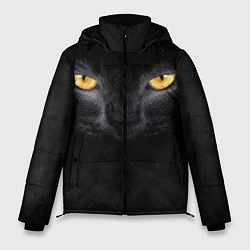 Мужская зимняя куртка Черная кошка