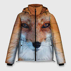 Куртка зимняя мужская Взгляд лисы, цвет: 3D-красный