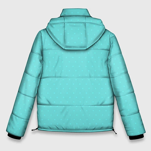 Мужская зимняя куртка PO ART / 3D-Светло-серый – фото 2
