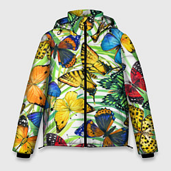 Куртка зимняя мужская Тропические бабочки, цвет: 3D-черный