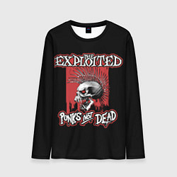 Мужской лонгслив Exploited - punks not dead